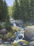 Off The Path To Alberta Falls